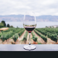 Vino: Arte y Ciencia