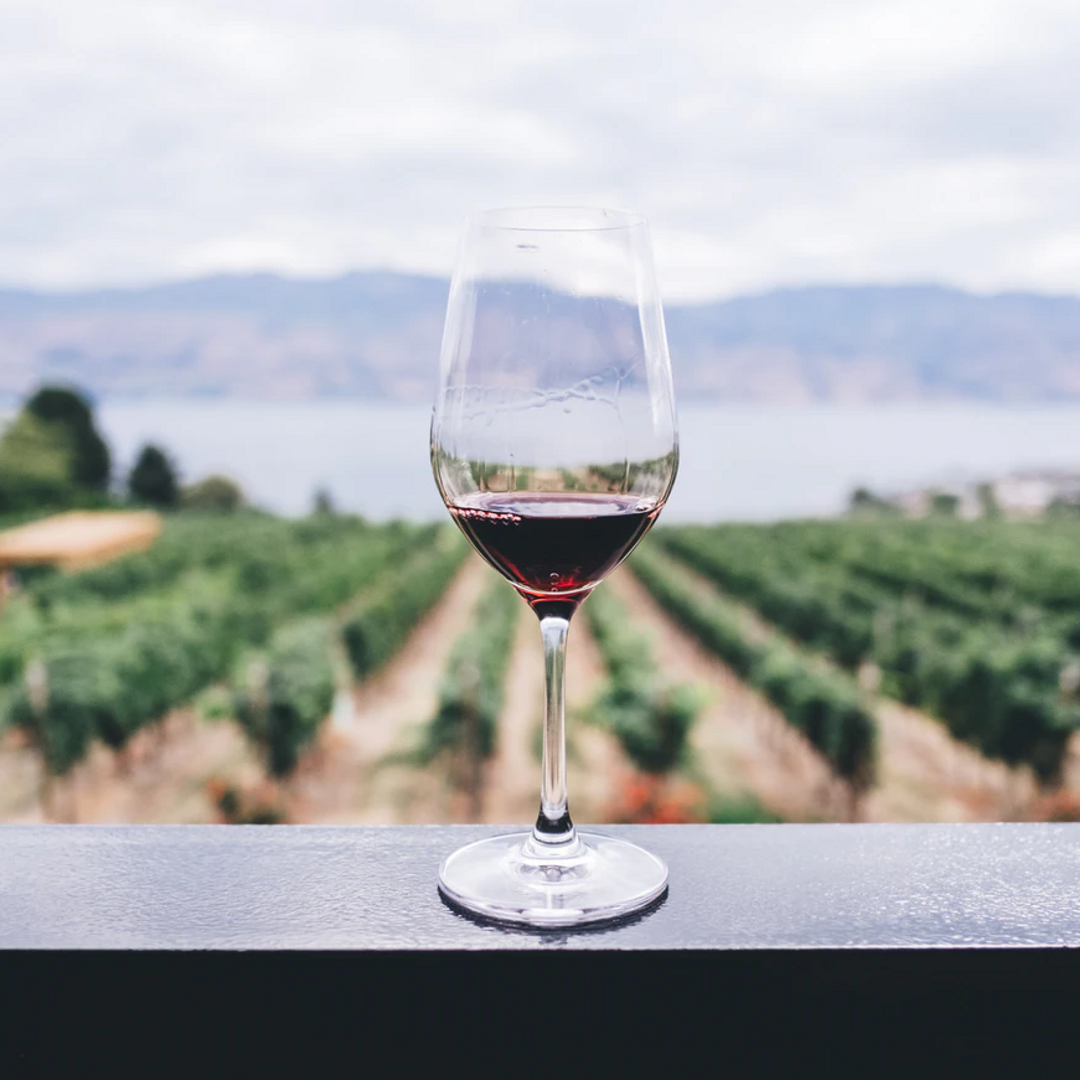 Vino: Arte y Ciencia