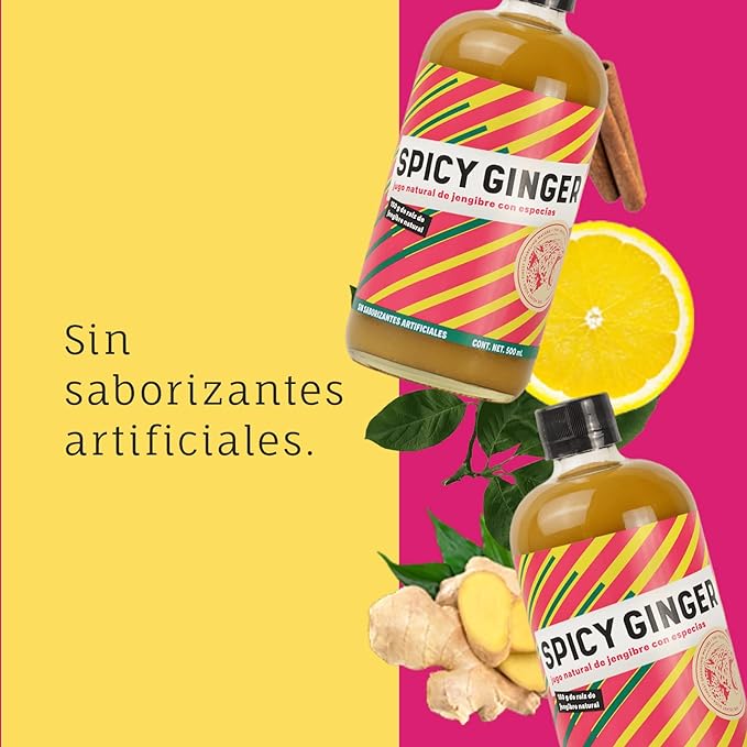 THE VELVET SODA SPICY GINGER 500ml