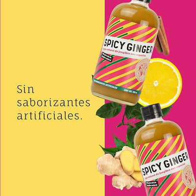 THE VELVET SODA SPICY GINGER 500ml