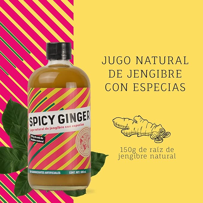 THE VELVET SODA SPICY GINGER 500ml