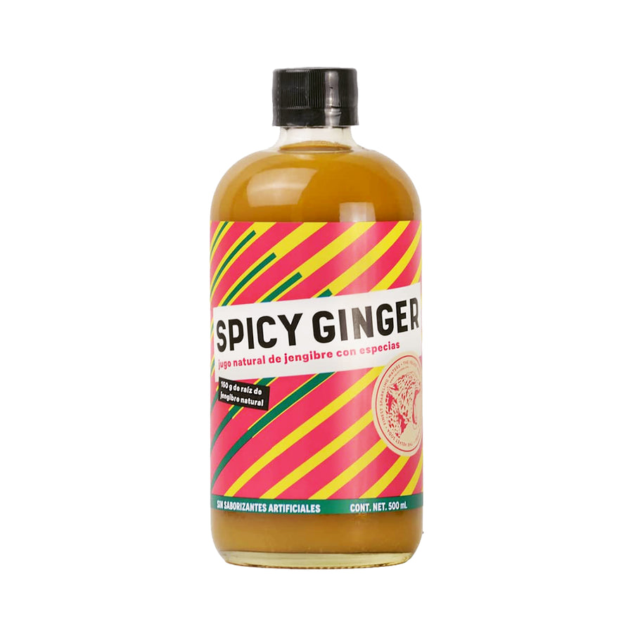 THE VELVET SODA - SPICY GINGER 500 ML