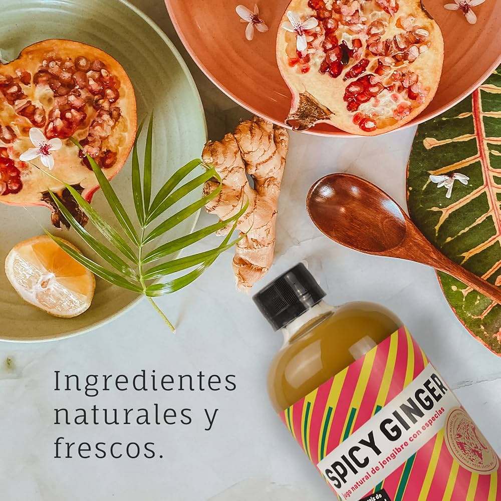 THE VELVET SODA - SPICY GINGER 500 ML